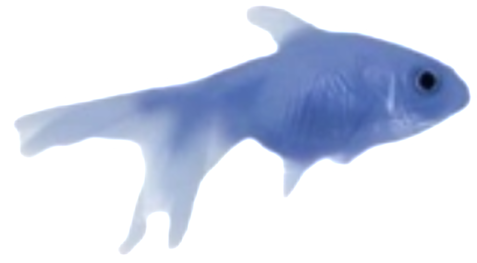 1000163885.png
