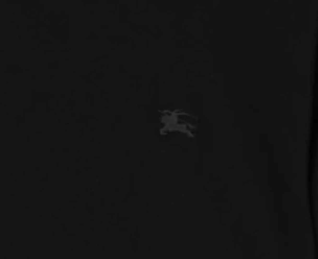 Luxury-BURBERRY-1-Unisex-细节-1.jpg