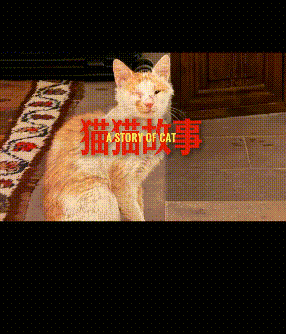 20260805-131600.gif