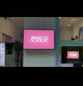 20260805-150537.gif