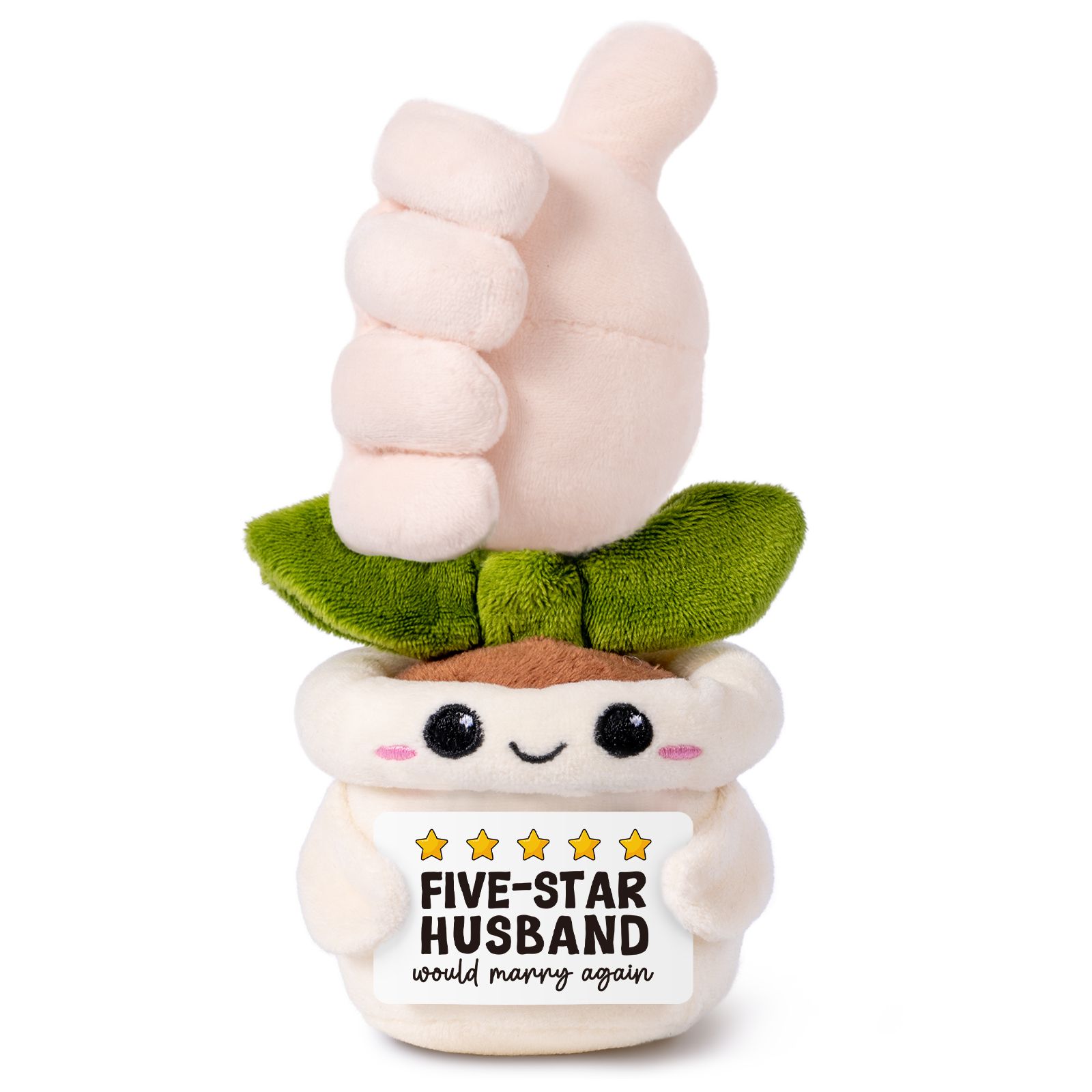 five star husband like potted plant.jpg