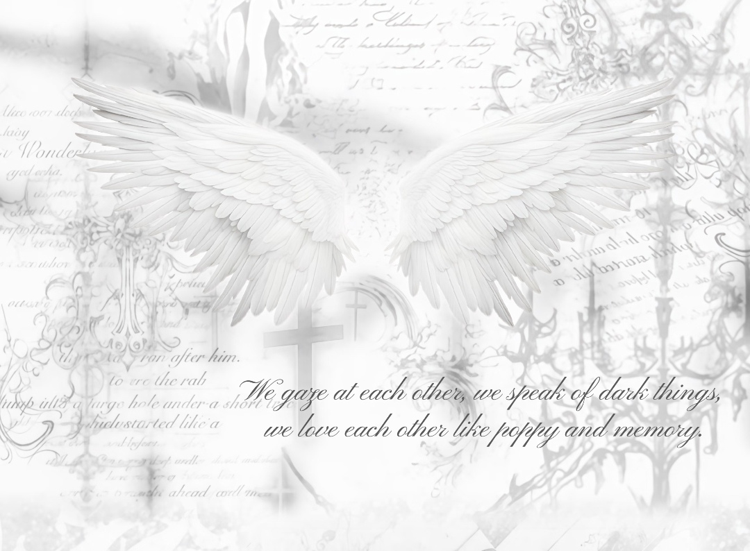 Screenshot_20260805_233241_com.xingin.xhs_edit_2291214455450905.jpg