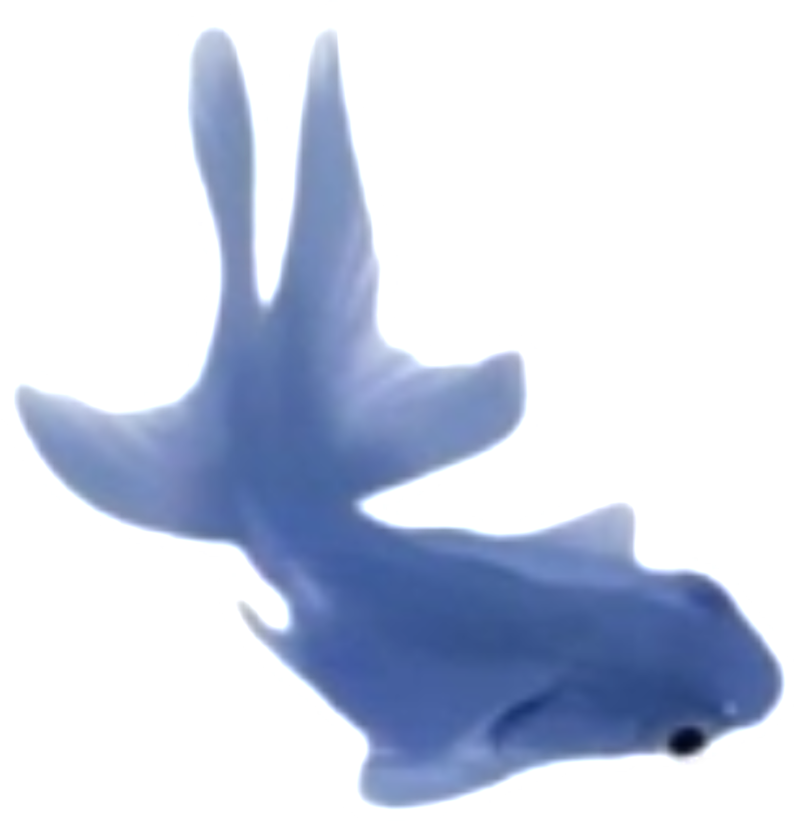 1000163881.png