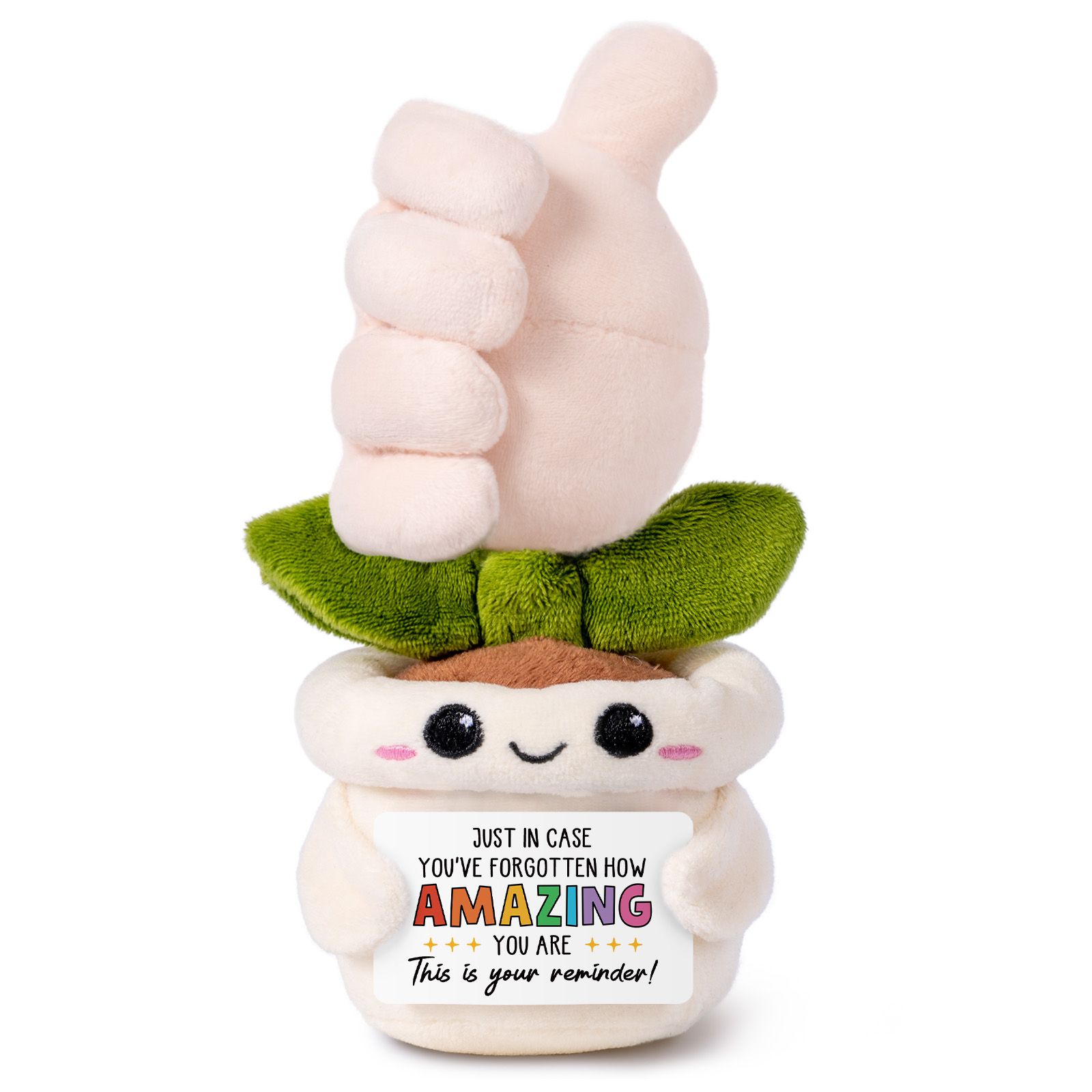 you are amazing like potted plant.jpg