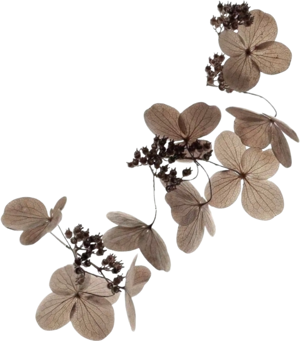 retouch_2026080515531725.png