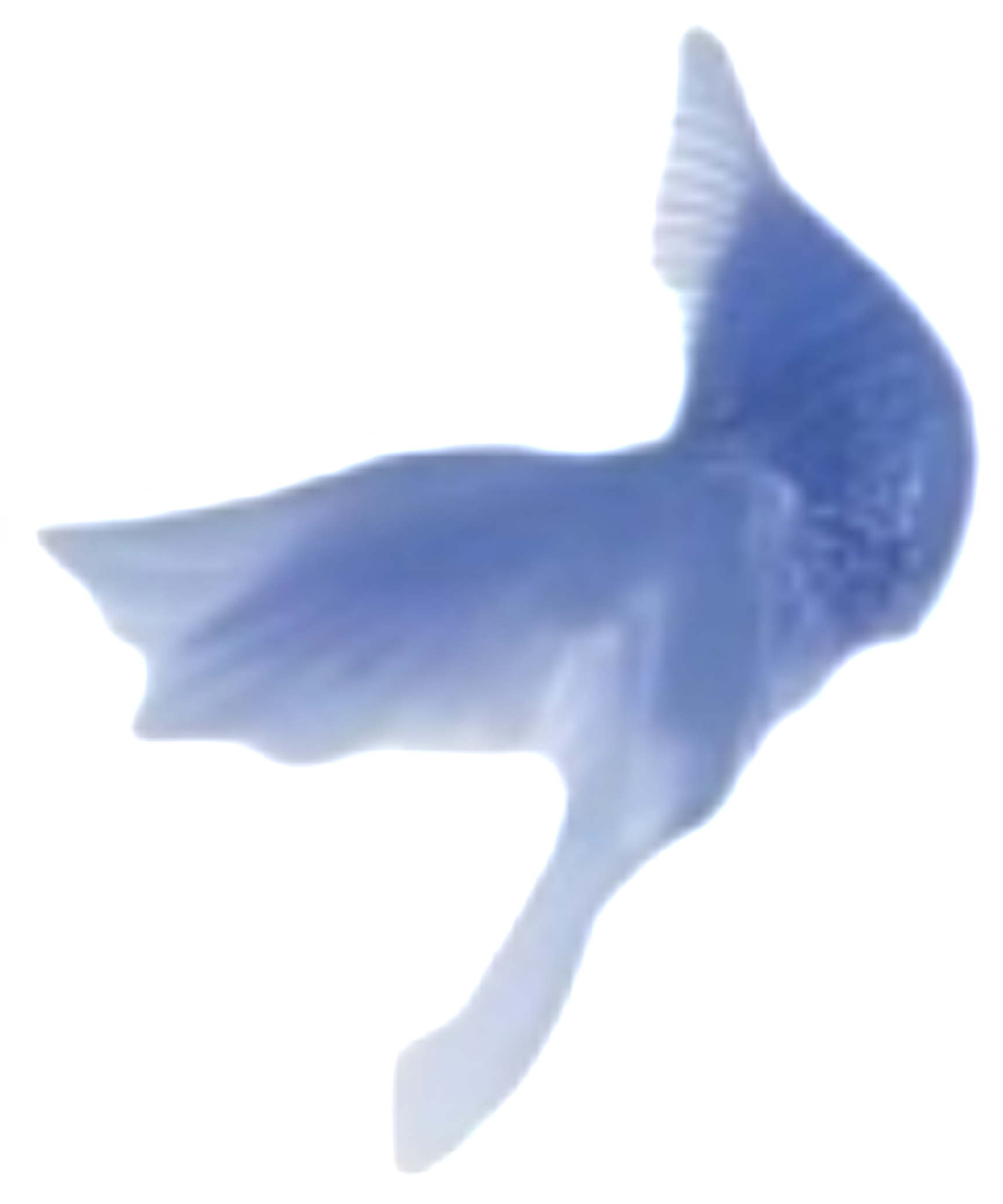 1000163883.png