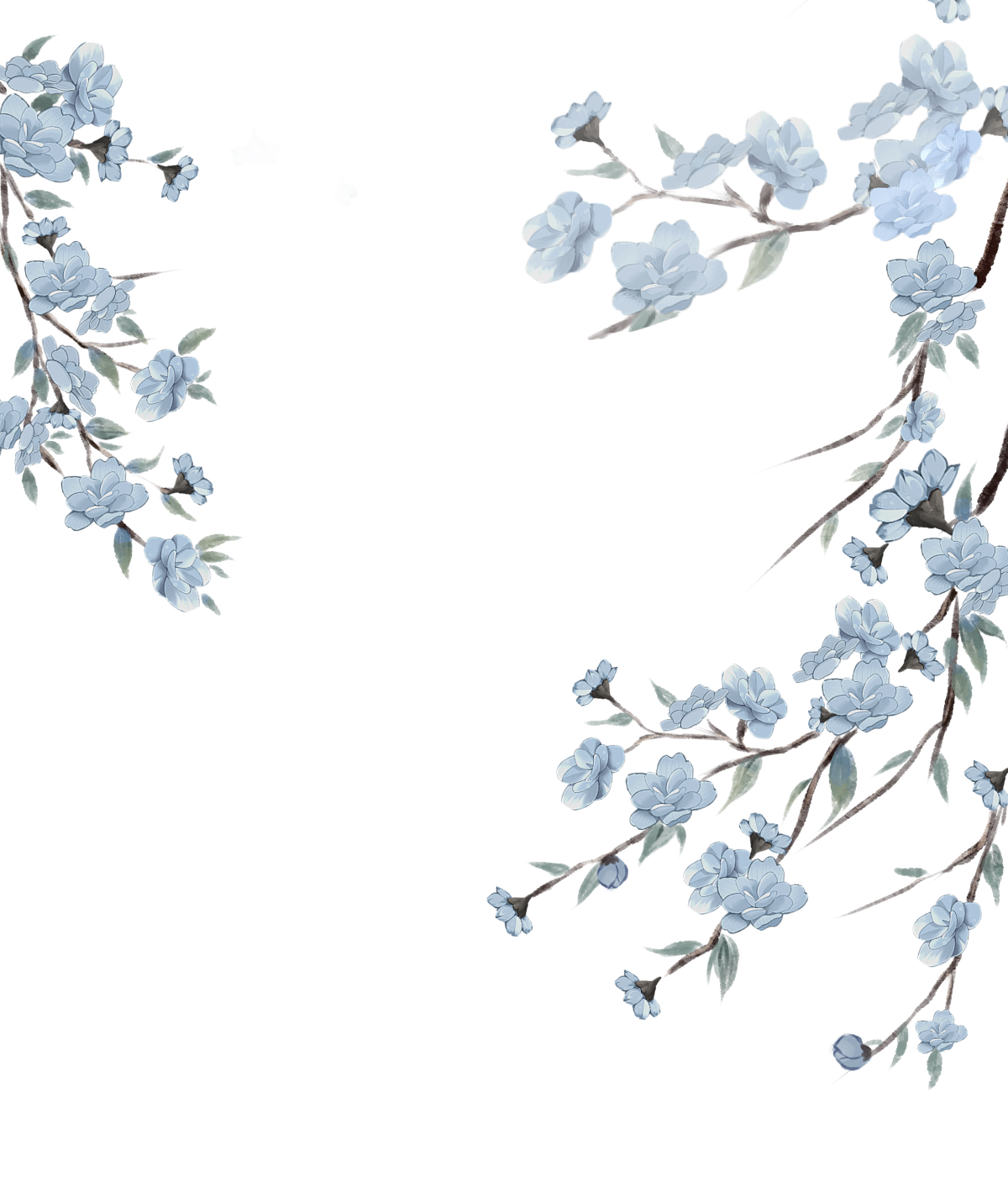 IMG_7450.png