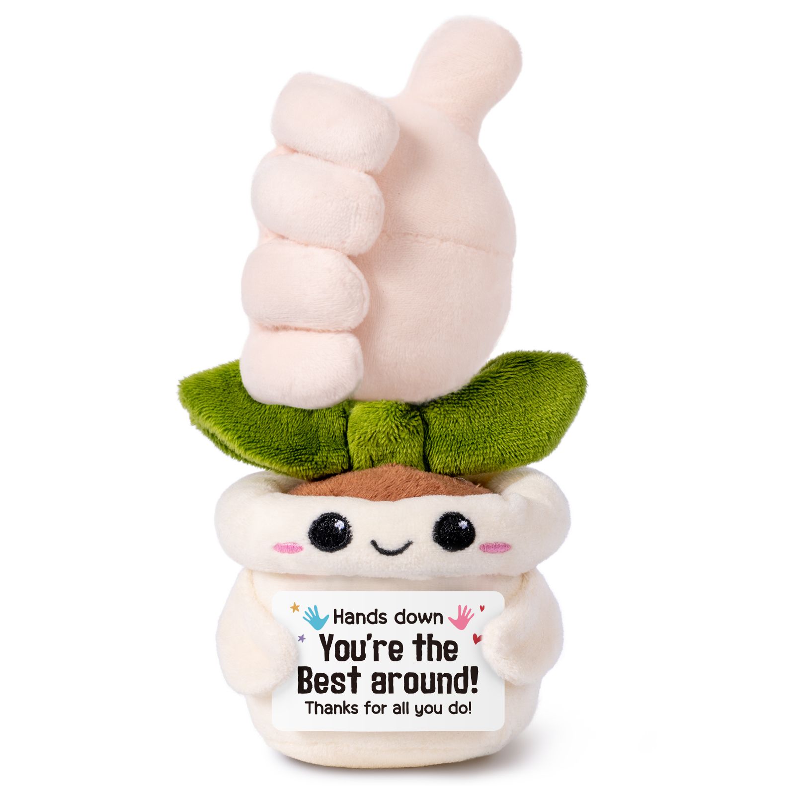 the best aroud-Like Potted Plant.jpg