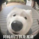 avatar-1785874550715-60026.jpeg