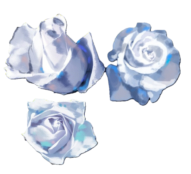 1000163931.png
