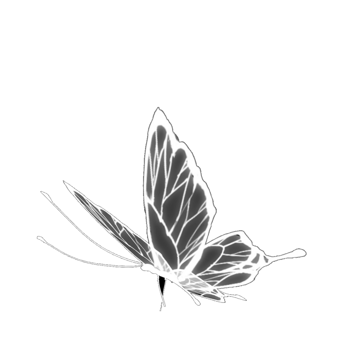 无标题104_20260806011742.png