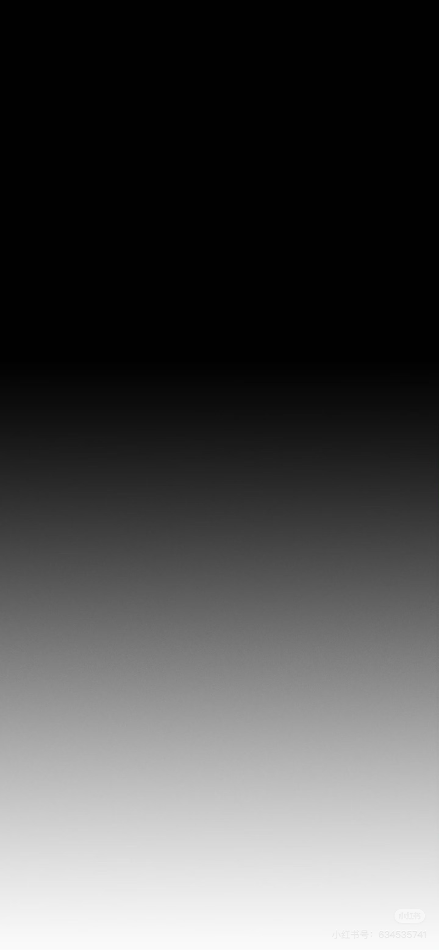 IMG_9667.jpeg