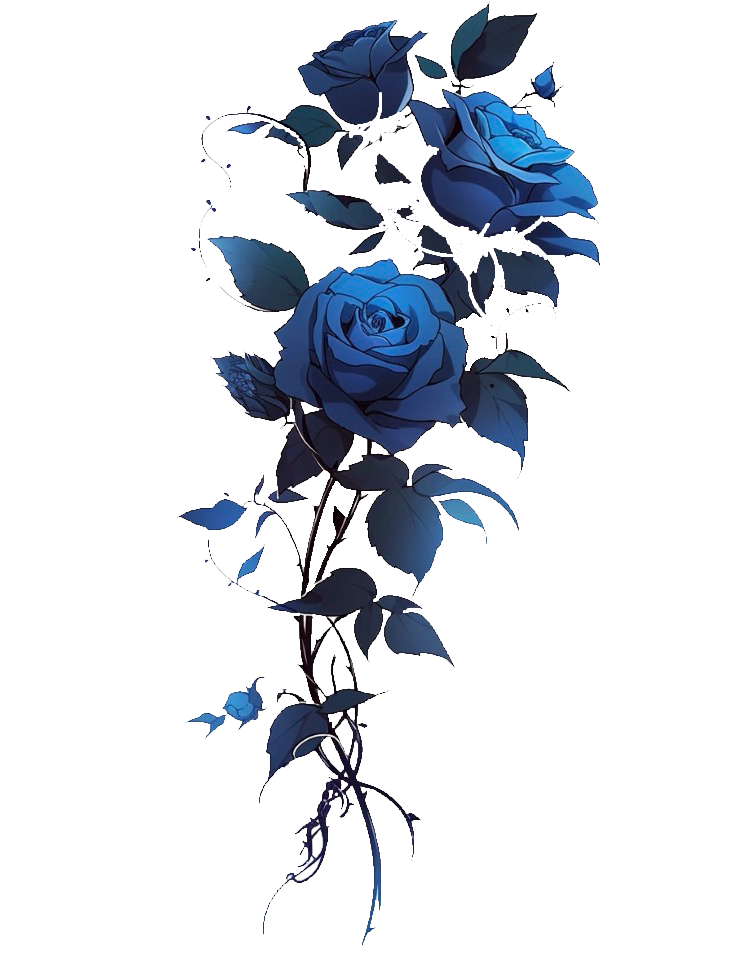 无标题114_20260806170547.png