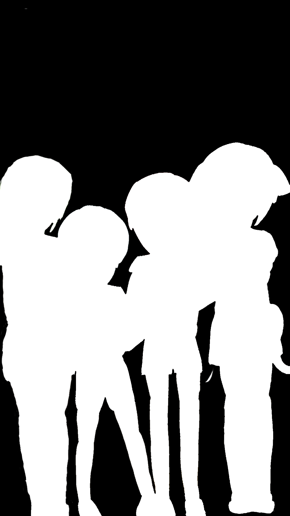 IMG_3284.png