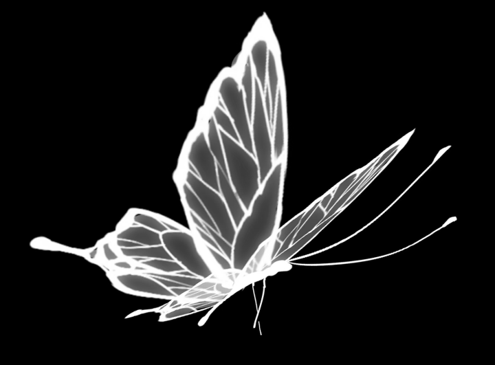 Screenshot_2026_0806_022556.png