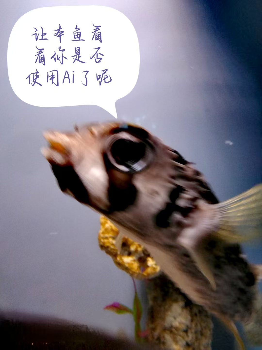 jylogo.jpg