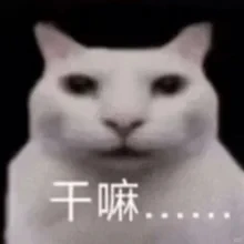 9d44b20394949bdc08aecf40b714cabb.png
