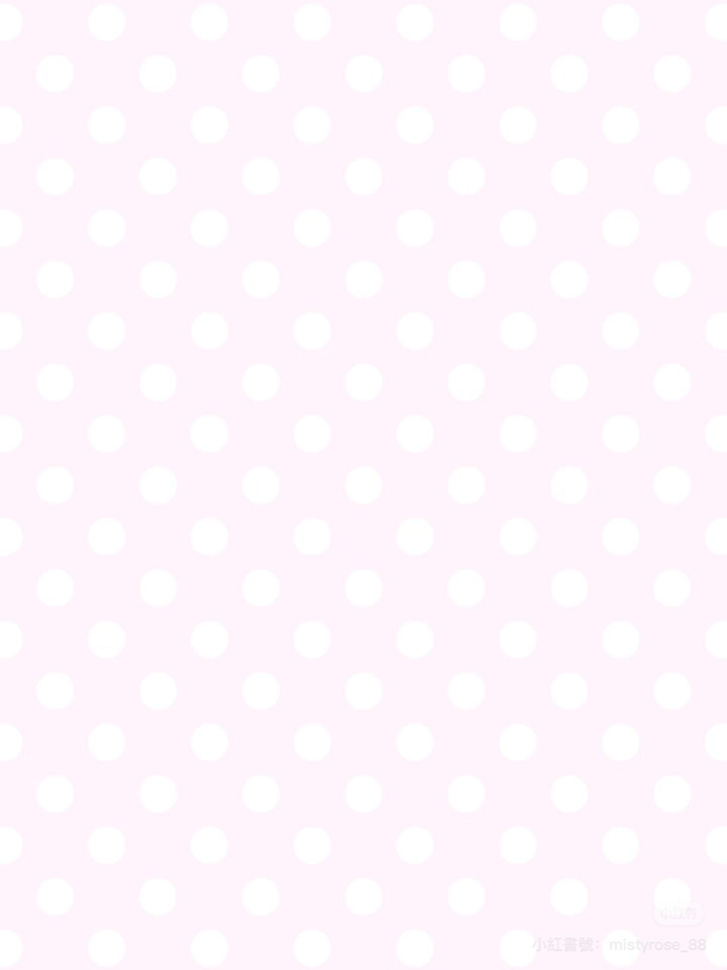 IMG_7239.jpeg