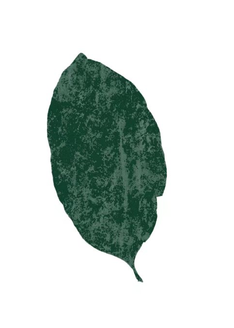 mmexport1786037641137.jpg