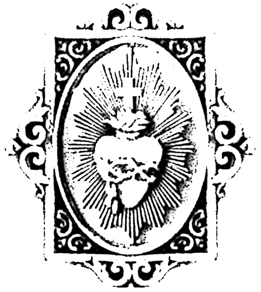 IMG_2031.png