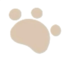 无标题143_20260807170321.png