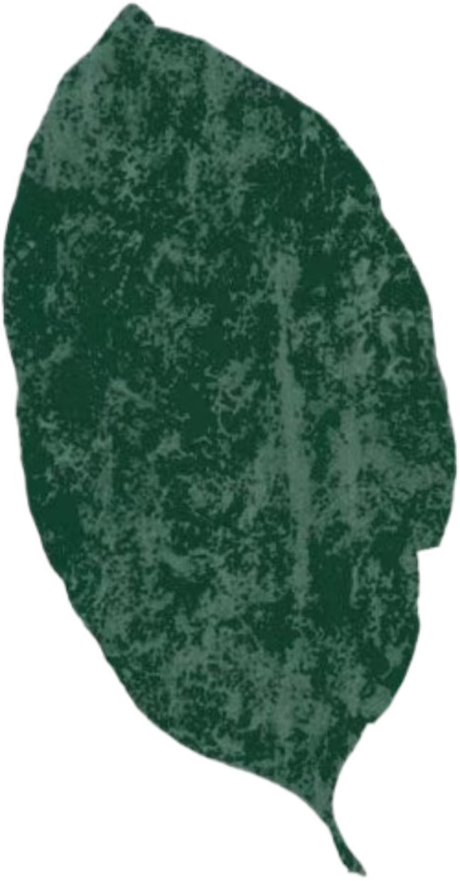 mmexport1786037899028.jpg