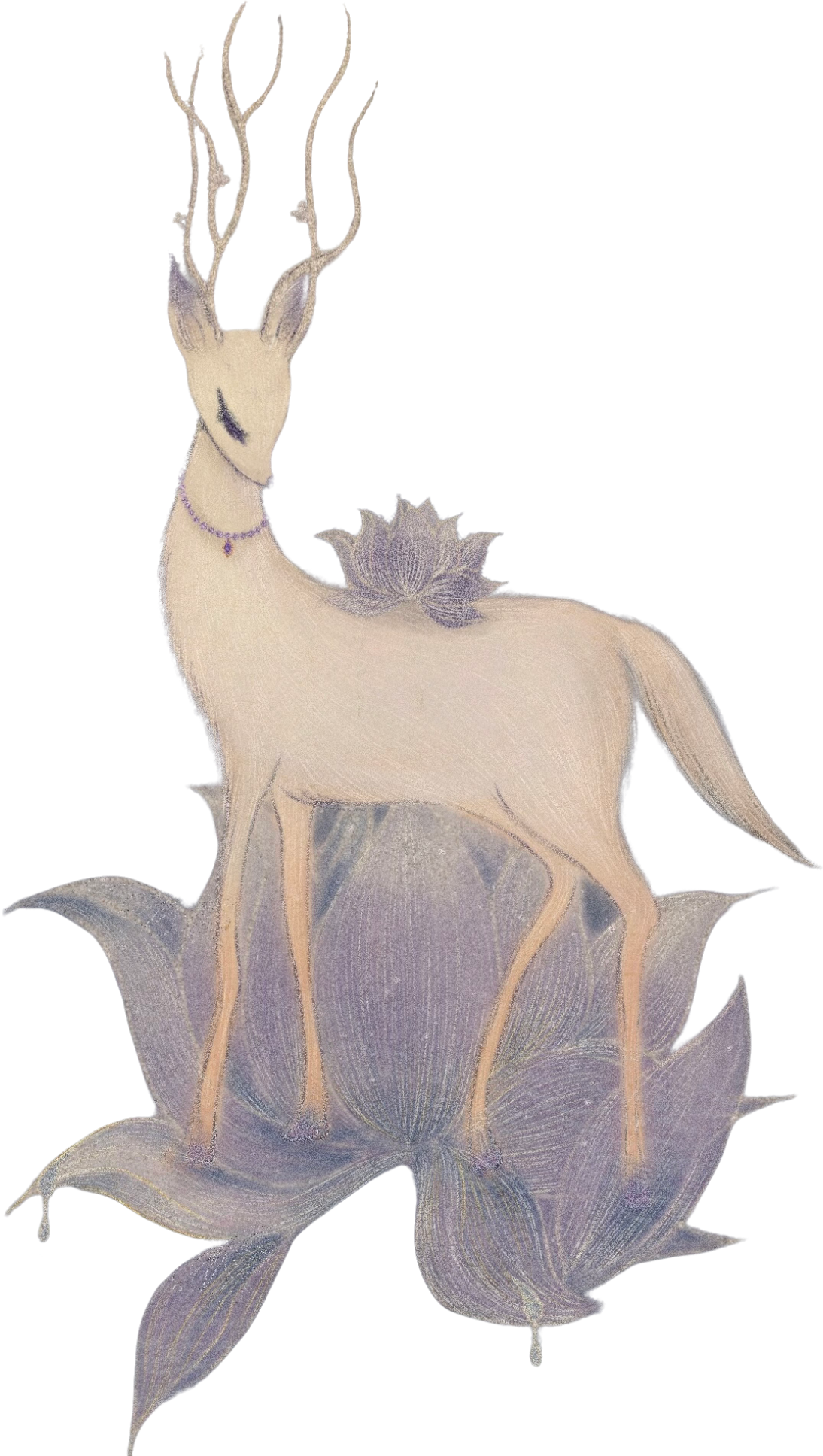 retouch_2026080717365428.png