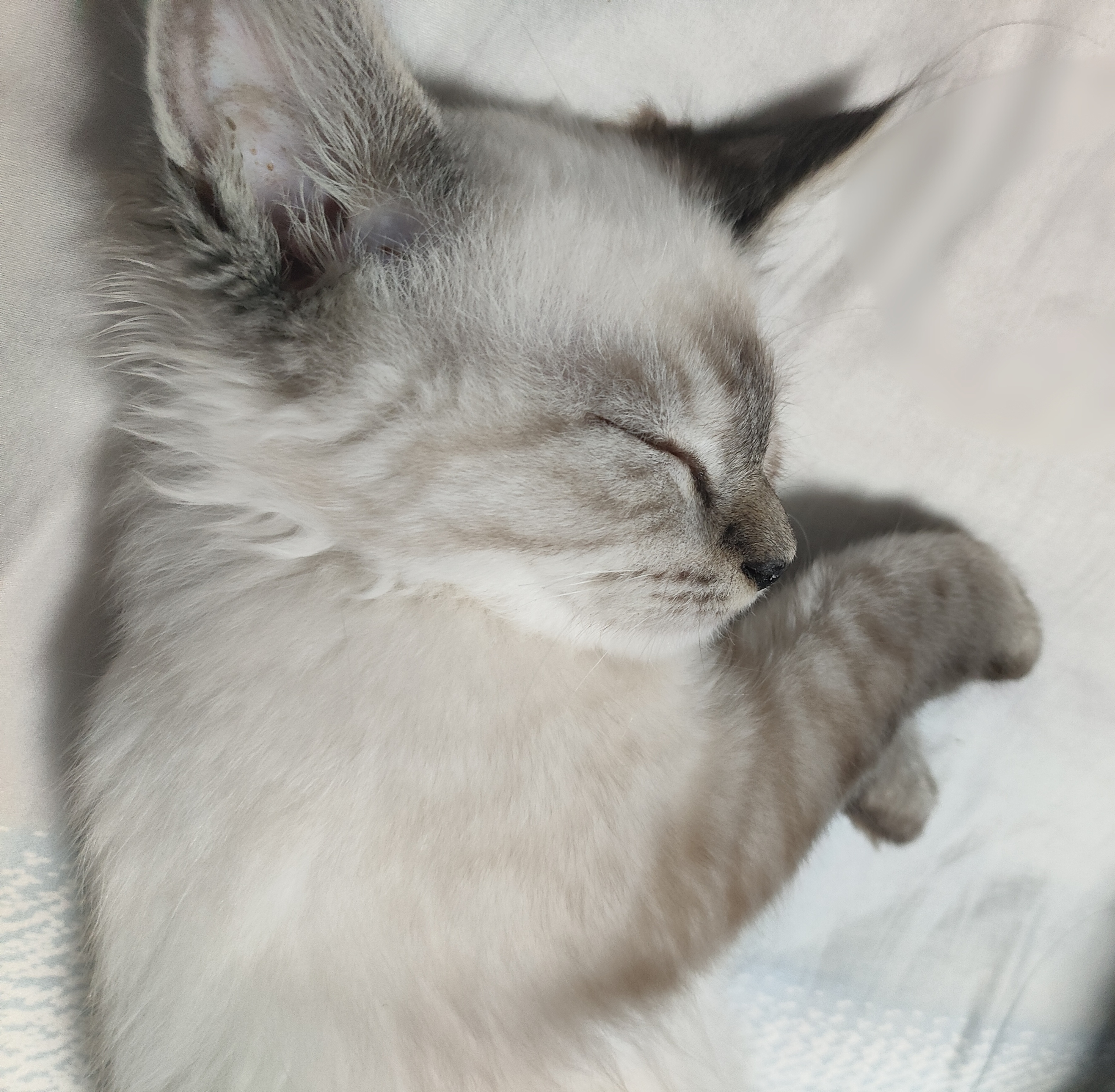 IMG_20260727_161444.jpg