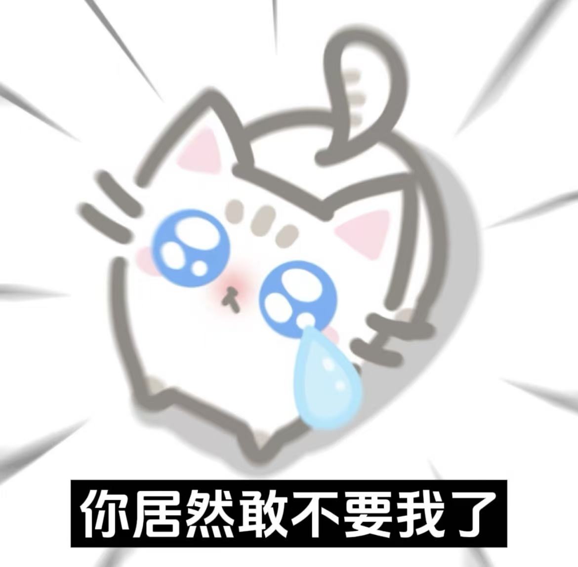 9a36355e8df7232e4dfd35ded12bca1f.jpg