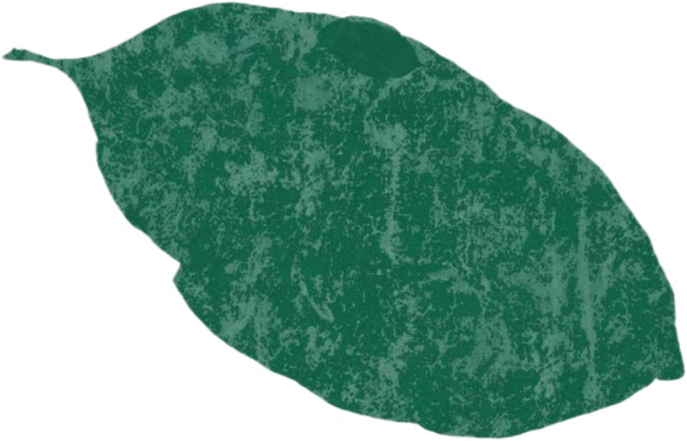 mmexport1786037900588.jpg