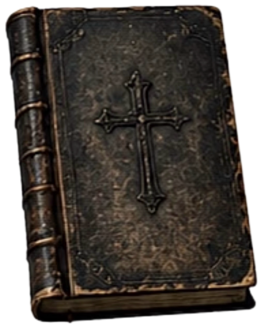 IMG_2035.png