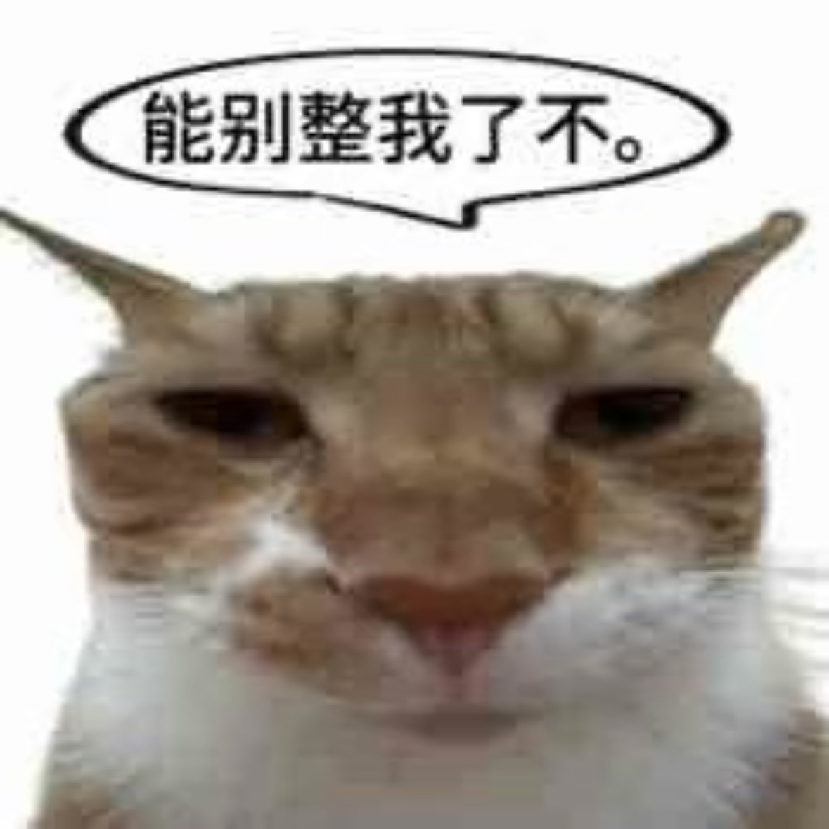 IMG_5707.jpeg