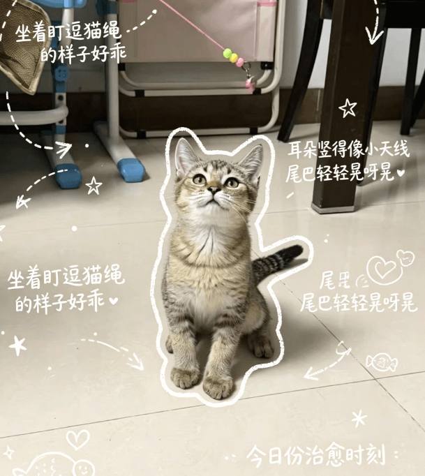 screenshot-20260808-100446.png