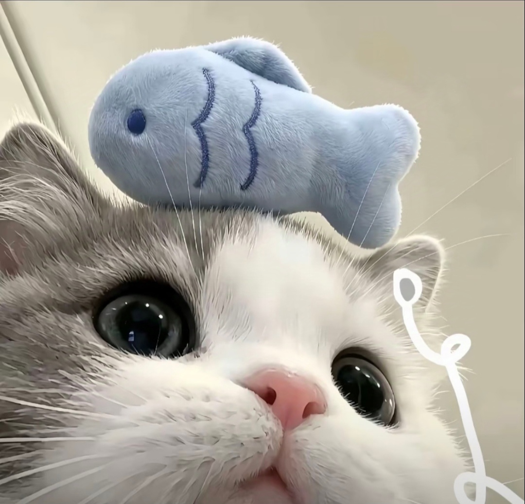 1000006750.jpg