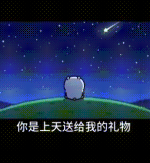 20260808-141331.gif