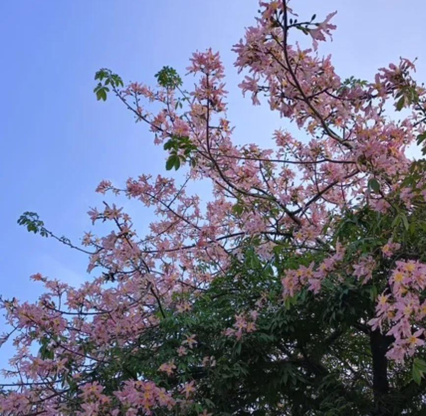 39F15056-6C6F-44DE-A944-B7C485AF935F.png