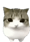 44004.gif