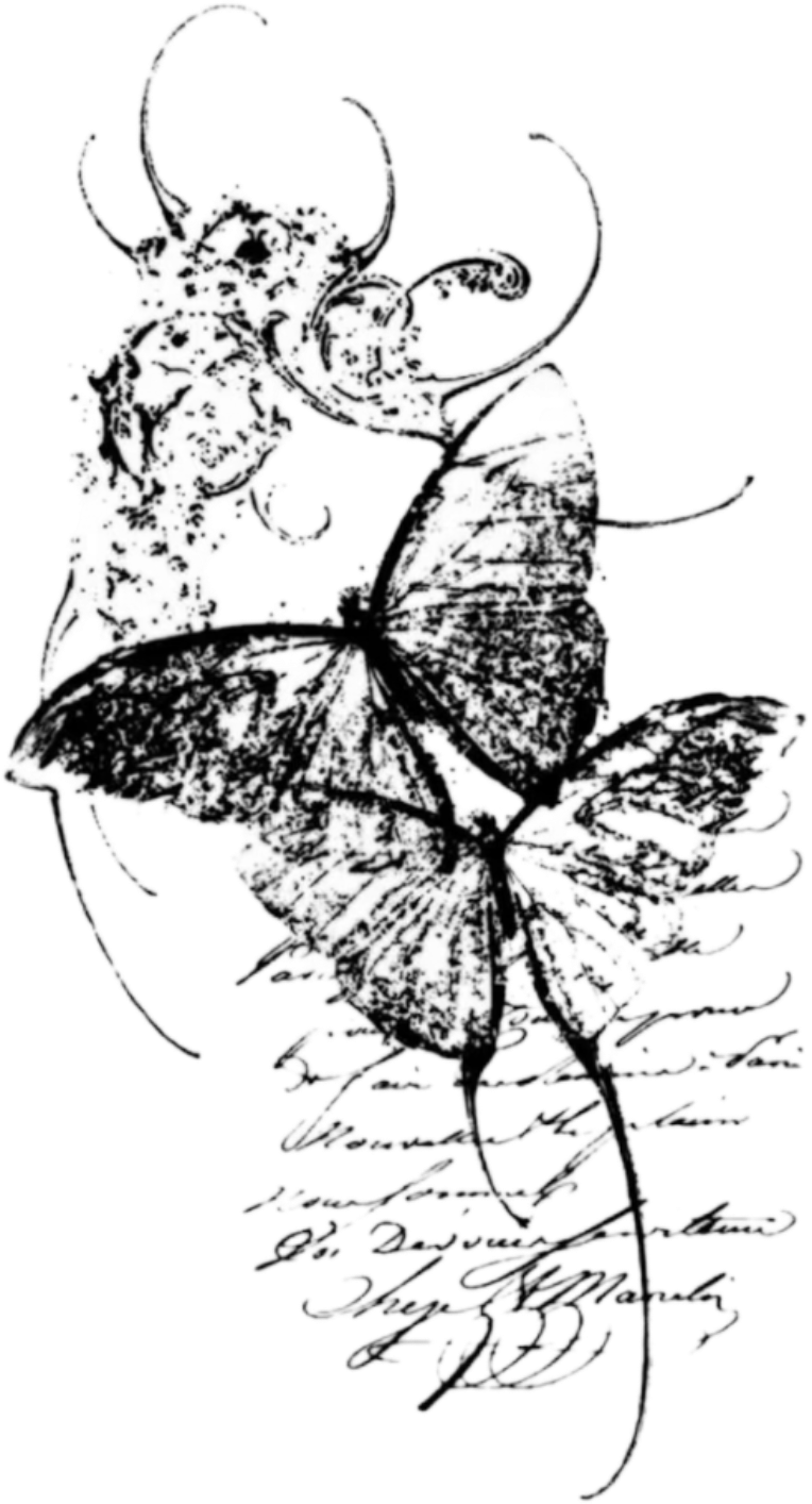retouch_2026080820580702.png