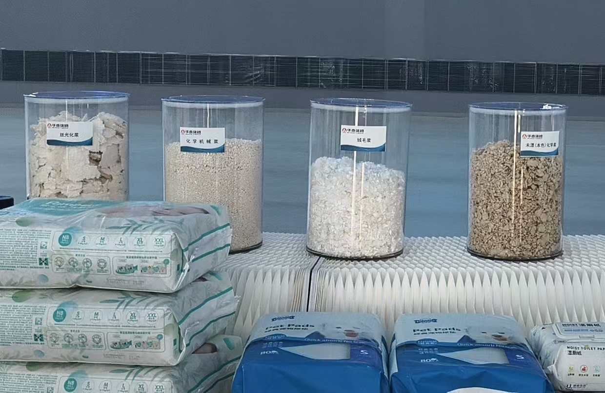 t1.jpg