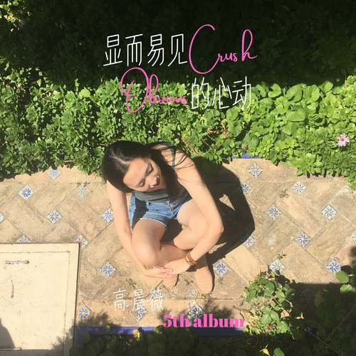 高晨薇《显而易见的心动.jpg