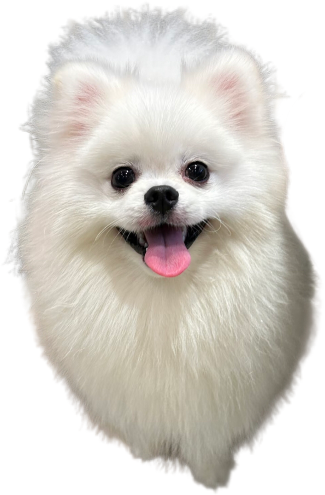 IMG_7423.png