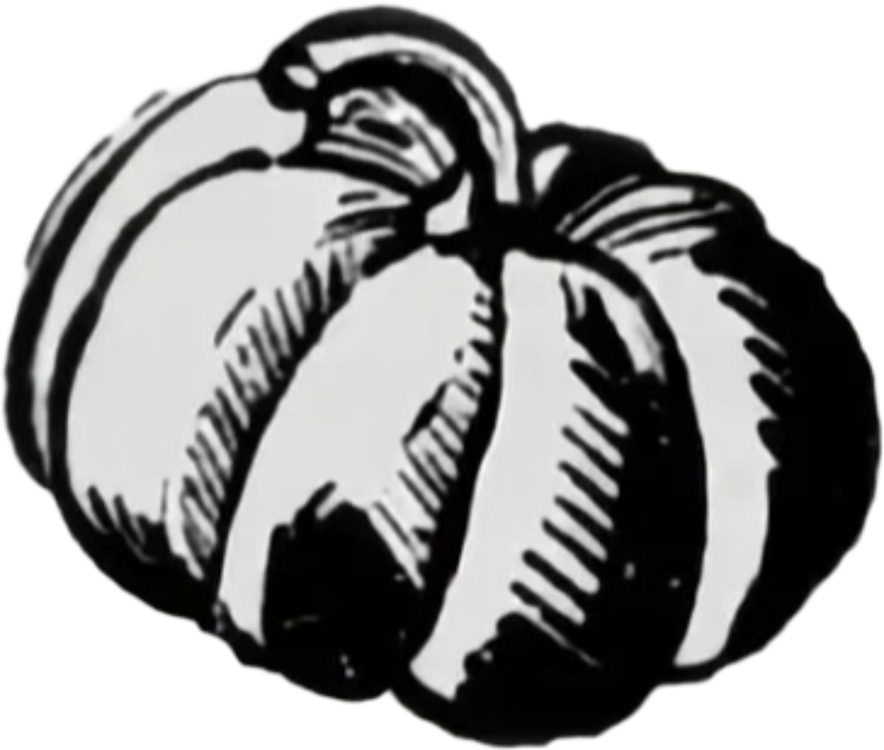 retouch_2026080915230261.png