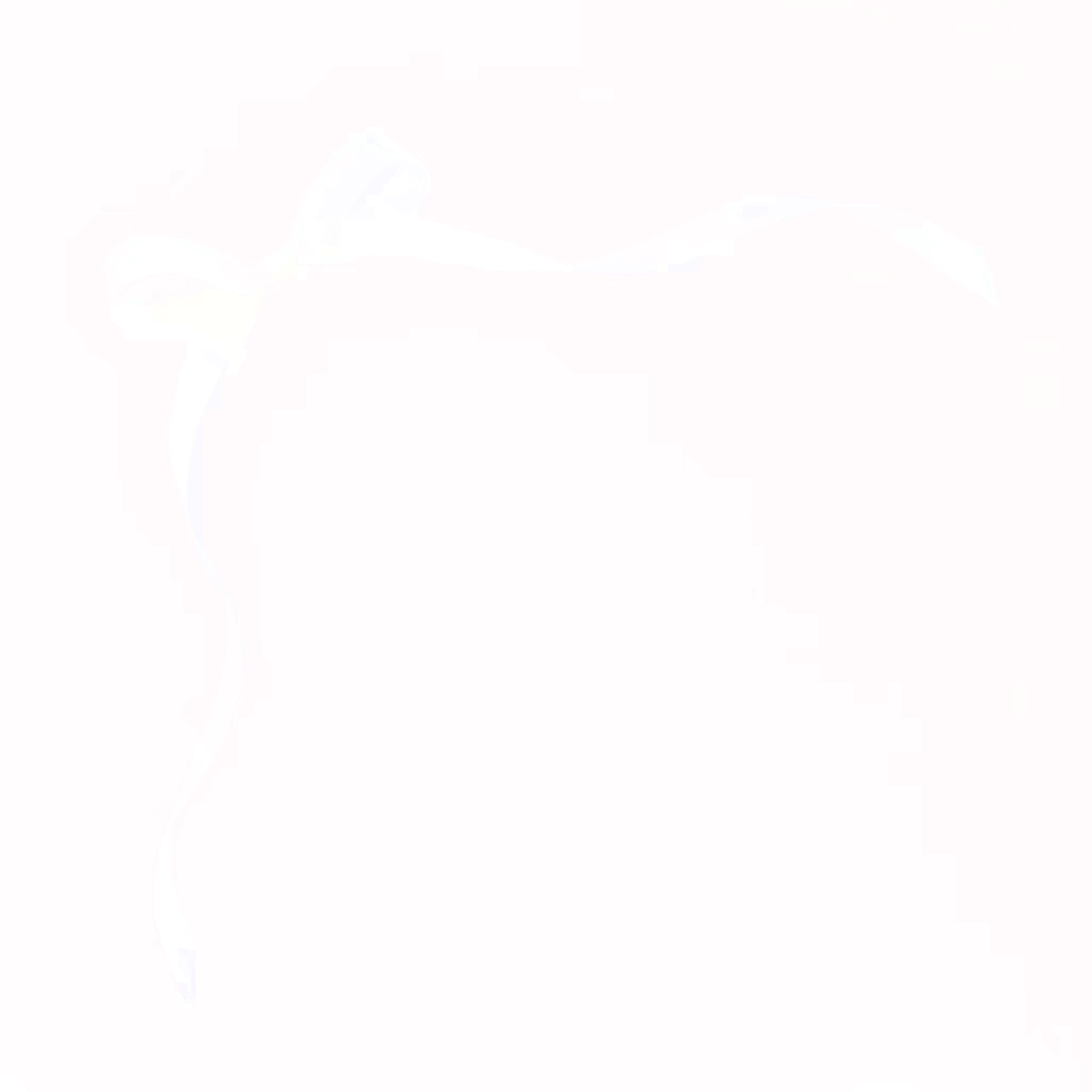 4389.png