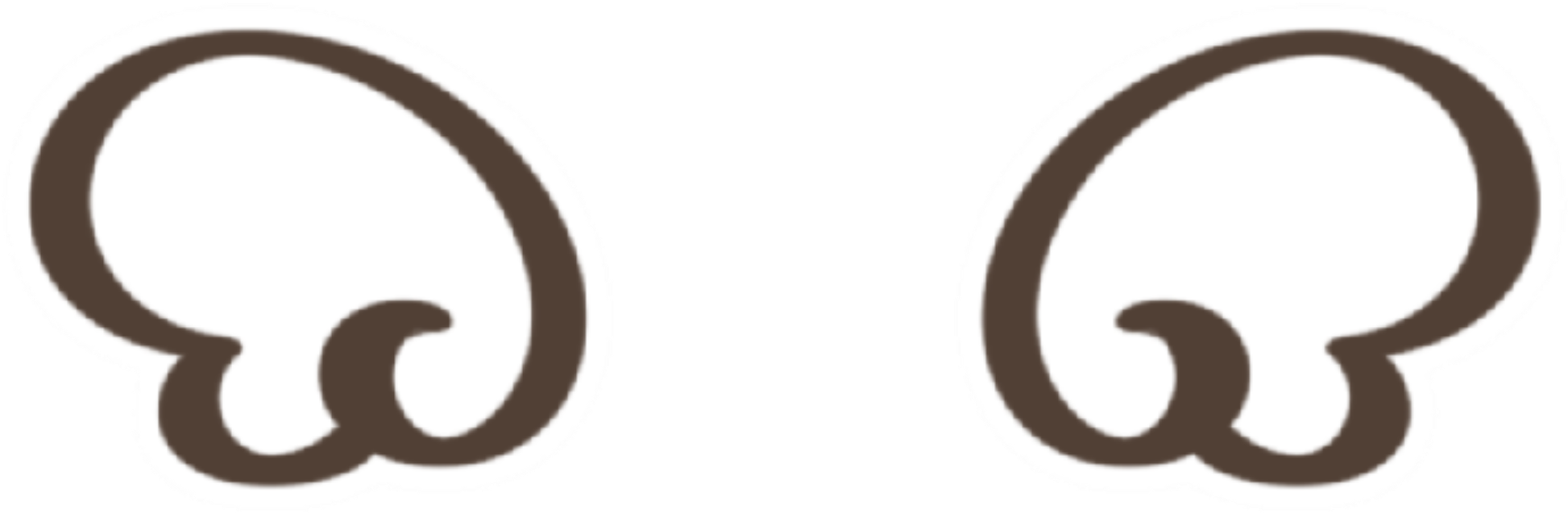 IMG_7978.png
