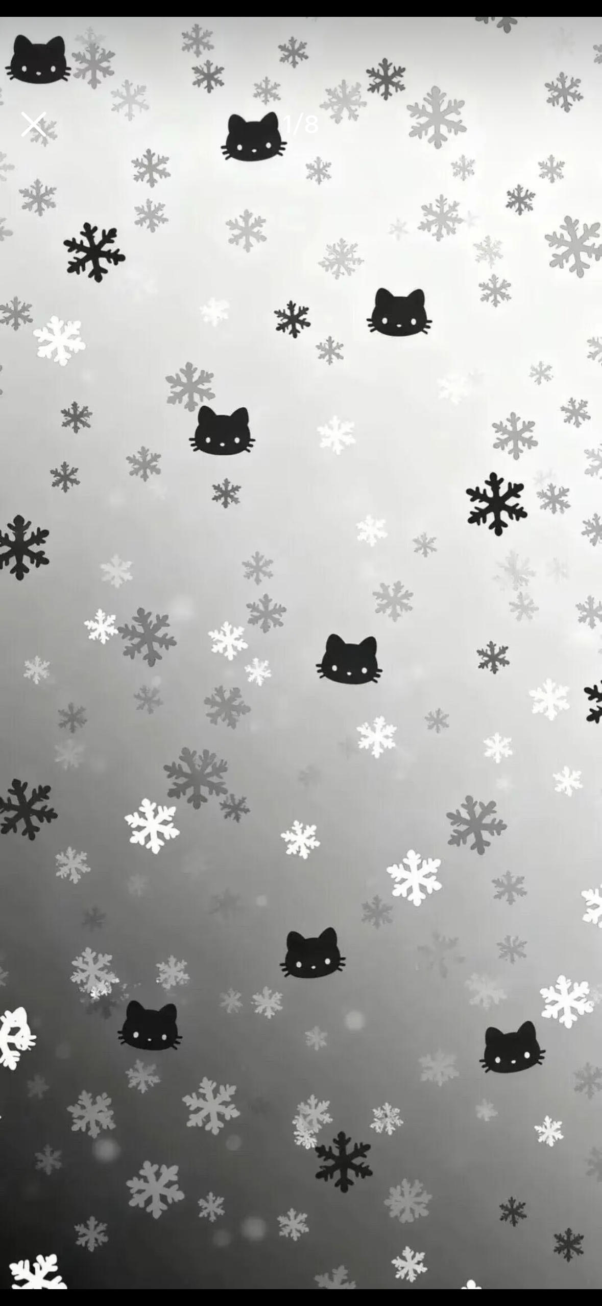 IMG_5784.png