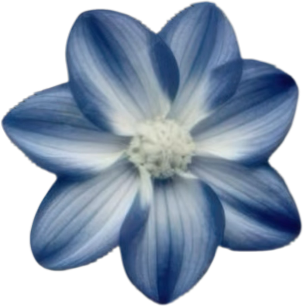 IMG_9759.png