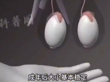 9b5ad4d7ac095c8c719a6f826dea25d6.gif