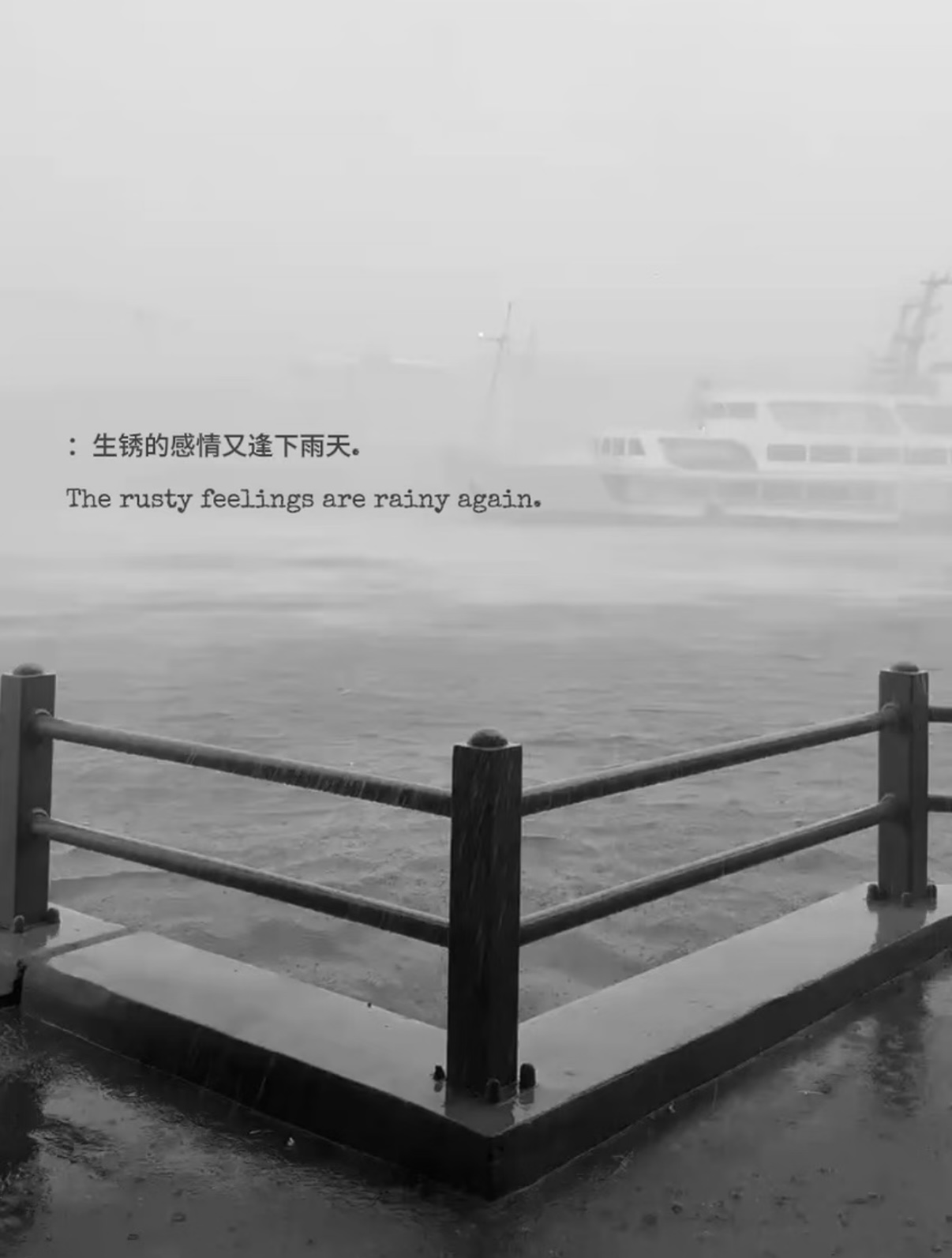 IMG_0274.jpeg
