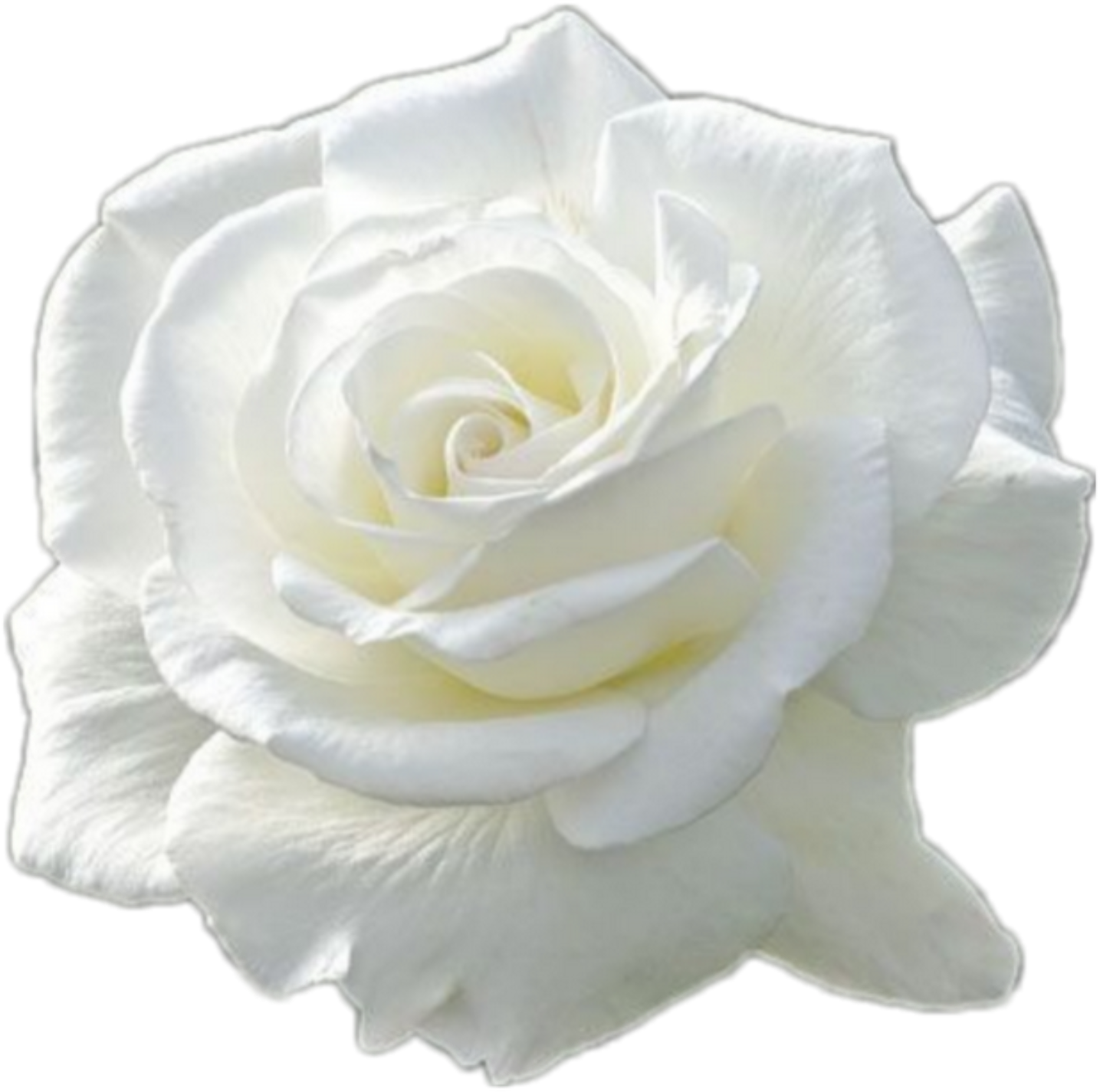 retouch_2026080923572450.png