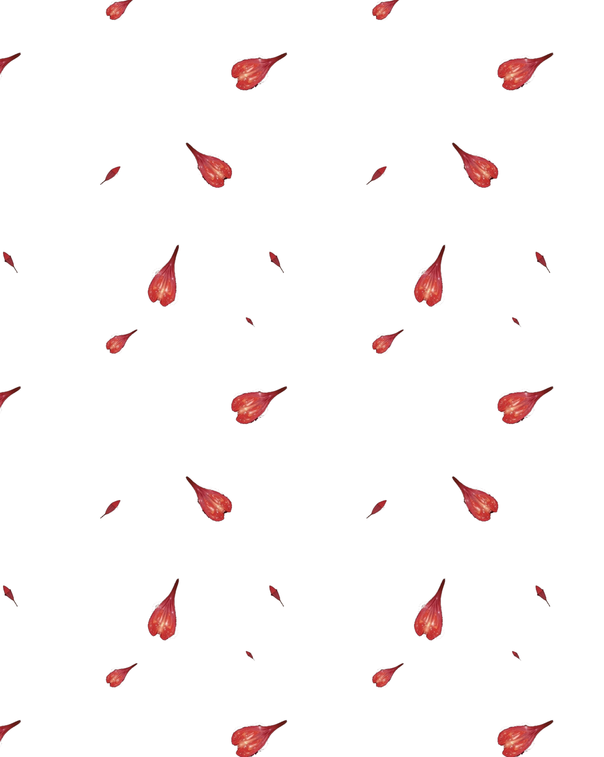 无标题179_20260810085550.png